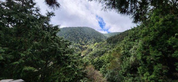 太平山森林遊樂區，檜木原始林步道，九寮溪自然步道，戈霸瀑布，開眼崙登山步道1859585