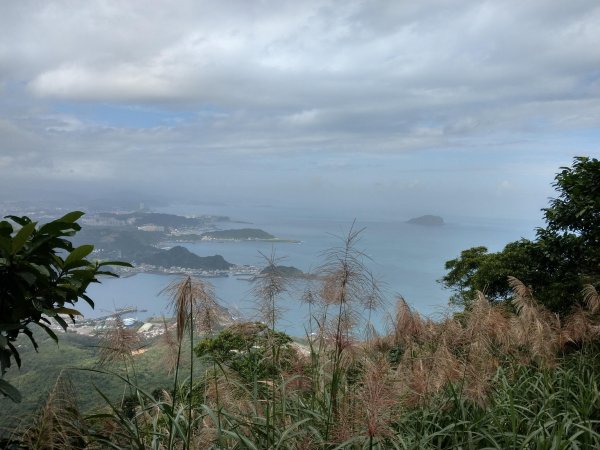 基隆山(小百岳#6) & 山腰步道 (2020/11/16)1426720