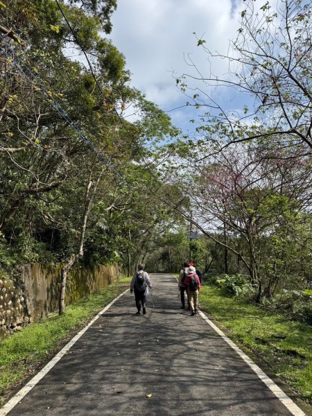 2025-0204 鶯歌_大凍山_三角埔頂山_迴龍2708037