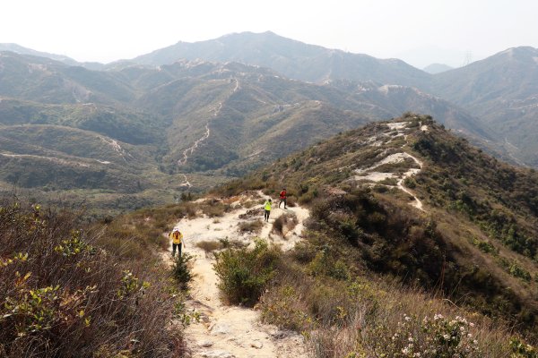 HK - 青山復地1482585