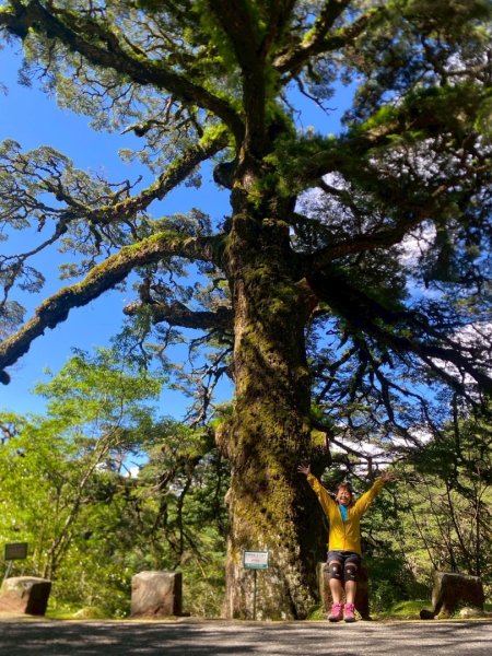 南投信義鄉東埔山、東埔山草原步道、塔塔加遊客中心2815151