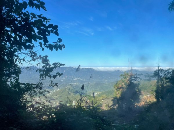 馬那邦山賞楓趣1549539