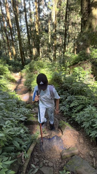 20250927小百岳鳳凰山2896375