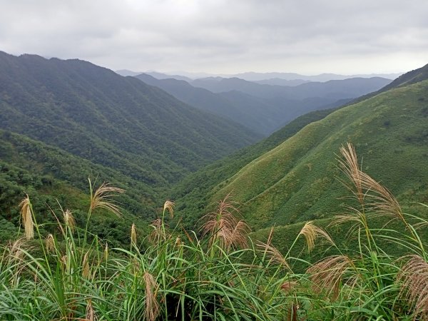 【小百岳集起來】三角崙山, 聖母登山步道1148128