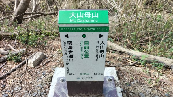 20250203_小百岳大山母山2706857