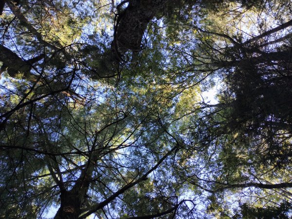 北一段(02/14)多加屯前峰2025_0906~132885123