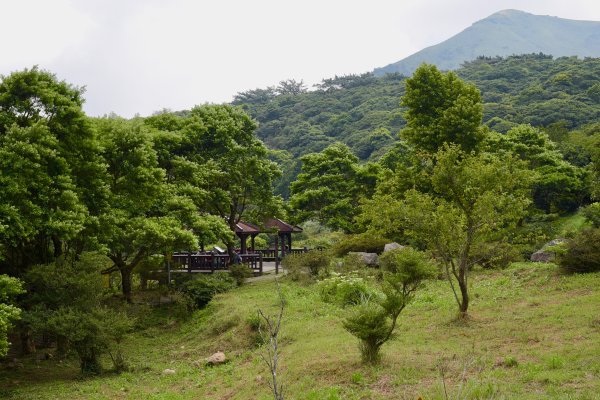 [ 山系野趣 ]大屯自然公園步道1081723