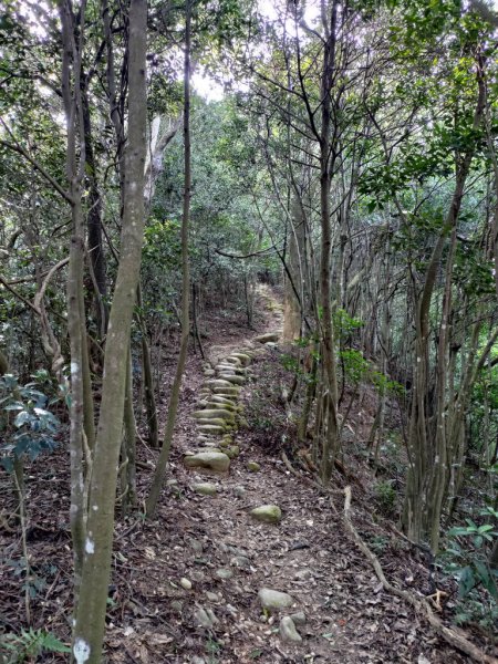 【新竹縣新埔鎮】飛龍步道2833130