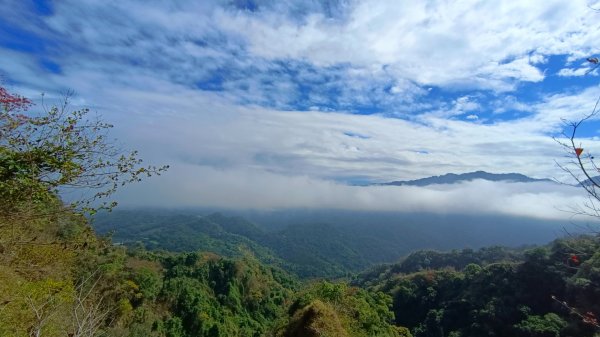 石苓湖山（頭嵙南峰）/黑山/黑山北峰/頭嵙山1585846