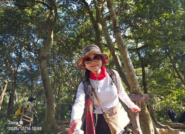 20251216太平山石門山小粗坑山O型+蕃薯藤TINA廚房2972589