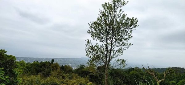 鵲子山步道 小百岳1304410