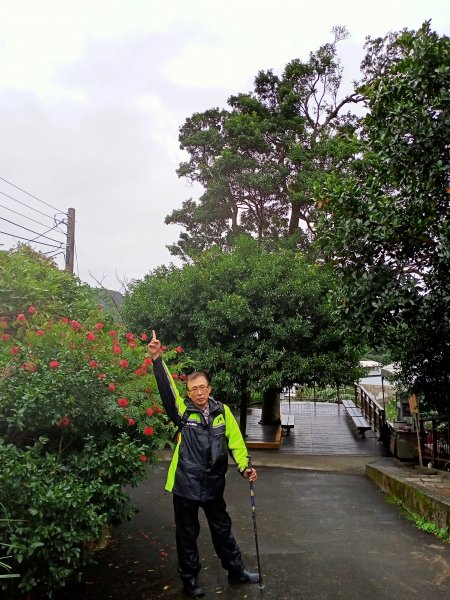 【臺北大縱走 4】捷運大湖公園站→大溝溪生態治水園區→圓覺寺步道→同心池+內湖三尖1556996