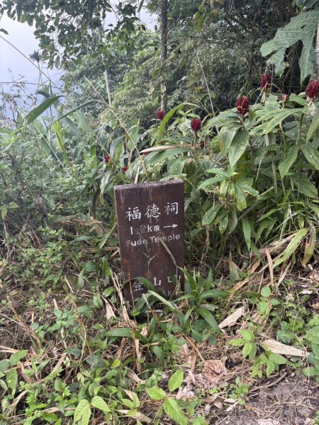 20251019伍龍步道-梅峰-竹子尖山-福光山2924098