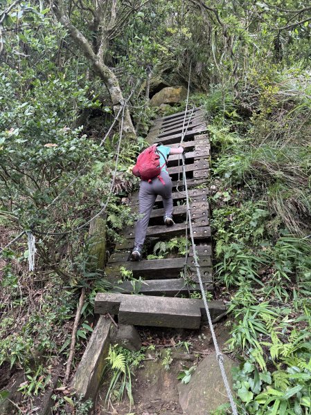 獅仔頭山 2025.07.202864282