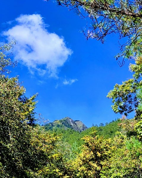 如童話般的森林步道-武陵桃山瀑布步道1190822