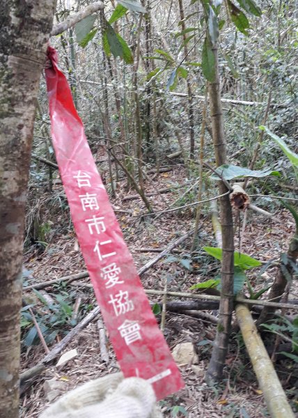 【嘉義】青雲山-五棲嶺-水水古道 探勘趣967078