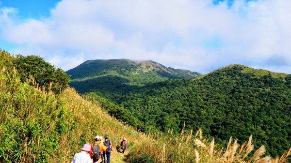 向天蝦不蝦2936836