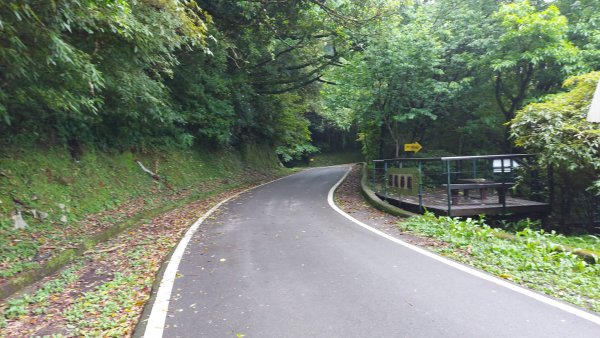 頂湖山（泉源山），青楓步道 ，竹子湖2123139