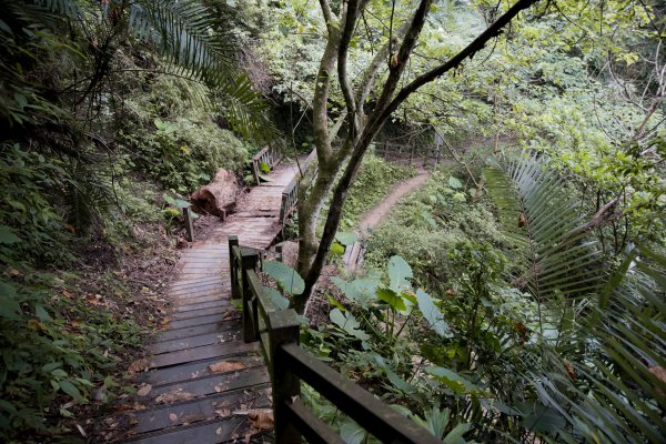 梅山鄉-竹坑溪步道訪龍宮瀑布1112384