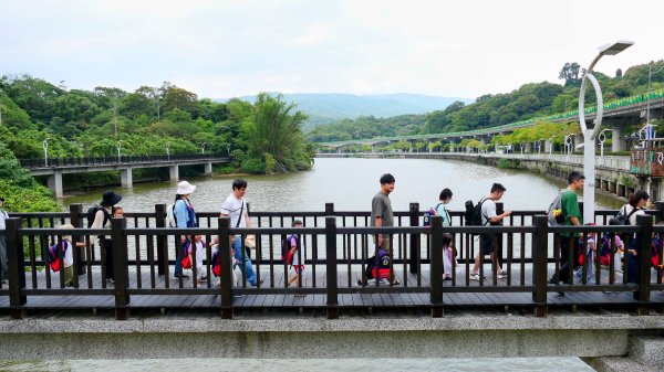 白石湖沒有百合花。晶片關稅2781545