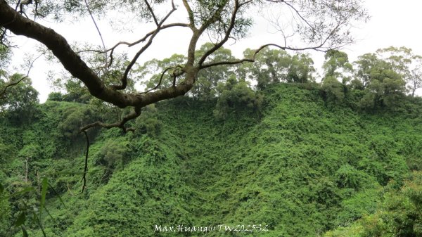 《彰化》稜線雙龍｜田中森林登山步道O型202506292824365