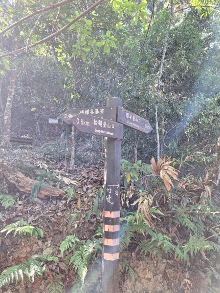 谷關蝴蝶谷瀑布202511202940785