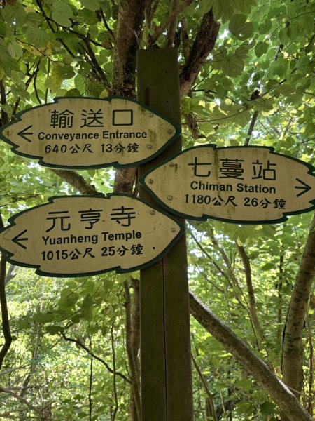 20251115壽山步道(元亨寺免費停車啟登)2938483