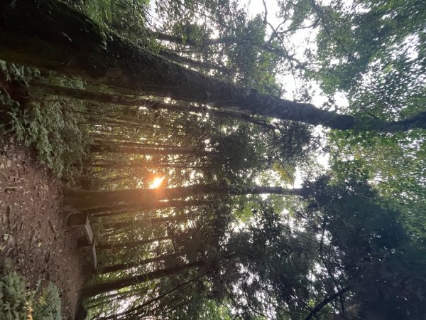 20231018_新竹五指山步道（森遊竹縣）2762908