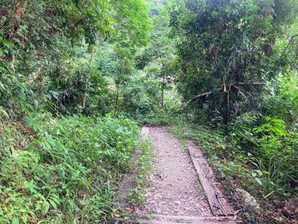 獨立山國家步道2615850