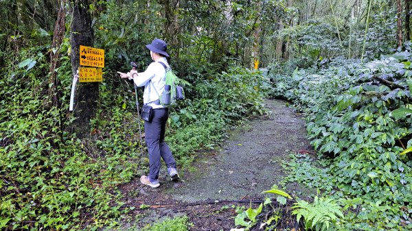 阿里山頂湖三連峰:天福山、芙蓉山、凸龜山2810078