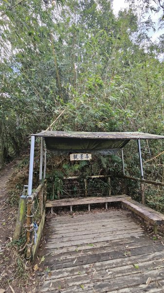 250105-七衝魔王小百岳#073尾寮山。開春第一走，最愛仍是你。2697966