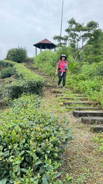 烏窟子山、獵貍尖山、黃櫸皮寮山、翡翠之眼O走2809869