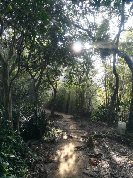 土城清水大尖山/朱財華紀念步道833993