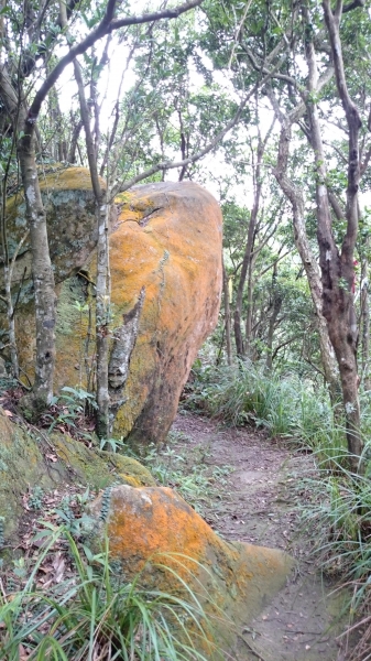 金明山+柯子林山（如意湖）48785