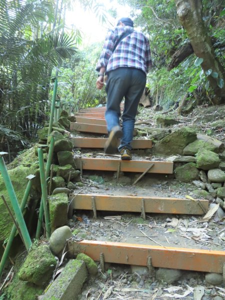 豐原三崁頂健康步道3上2下O形2696138