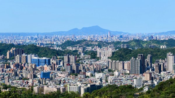 《踏莎行・貓空魯冰花》2710655