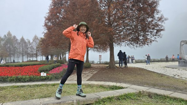 中部最美的落羽松，最美的自行車道，向山遊客中心的落羽松，最迷人的時候，美的不可思議，彷彿置身在潑墨畫2685342