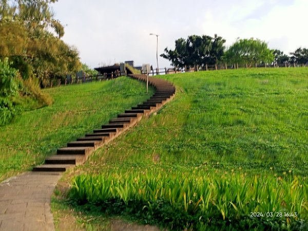【臺北大縱走4】風櫃嘴→雙溪溝古道→五指山古道→大崙頭山北面步道→許願步道→圓覺寺步道→大溝溪→大湖2469189