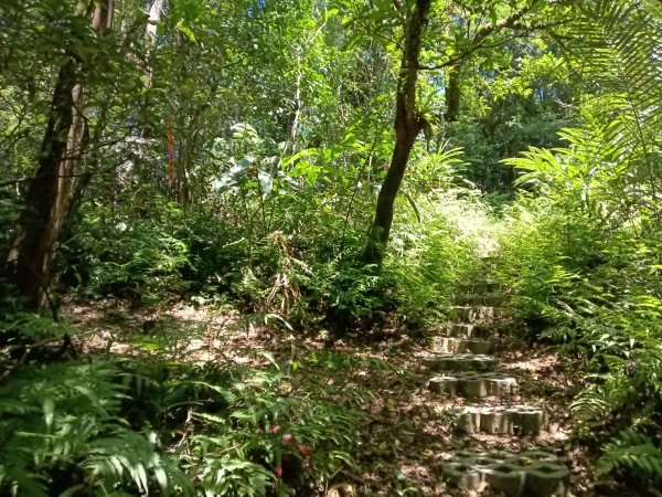 平溪區灰窯山驚險岩稜+司公碗帽山O型2897921