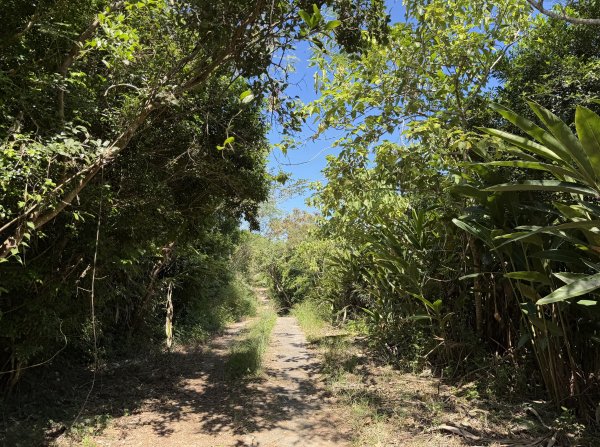 2025_1018 花蓮山步道2921269