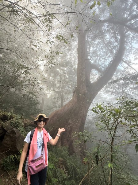 北得拉曼-內鳥嘴山2664603