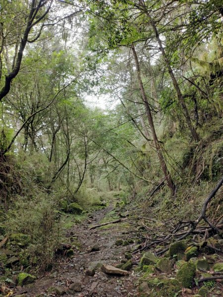 💦石山引水道⛰️石山涼涼走😆😆😆202207161765816