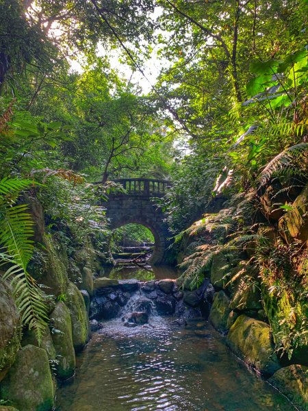 虎山親山步道1987059