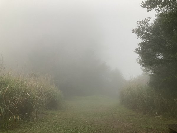 獅仔頭山登山步道2437116