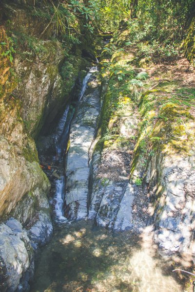 20191004~06-[新竹] 500塊上的大霸尖山1817041