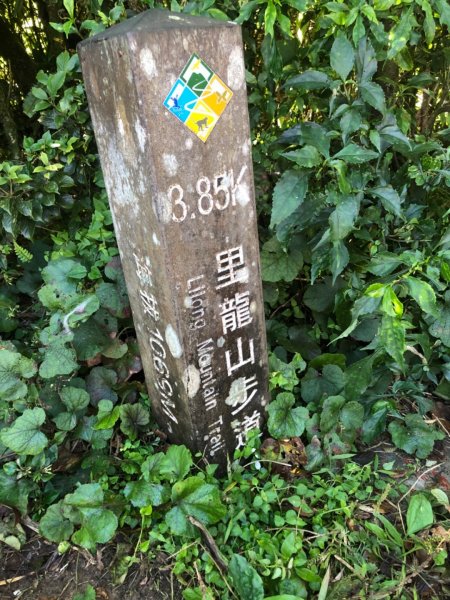 屏東 里龍山 攻頂初體驗740506