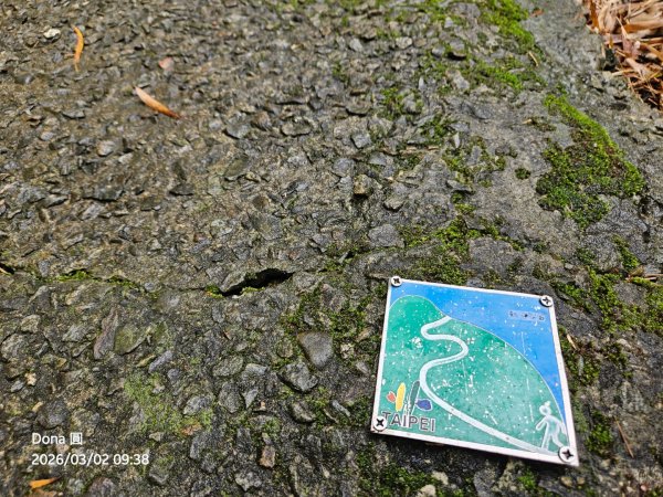 20260302忠義山.小坪頂山.貴子坑山大O走3009796