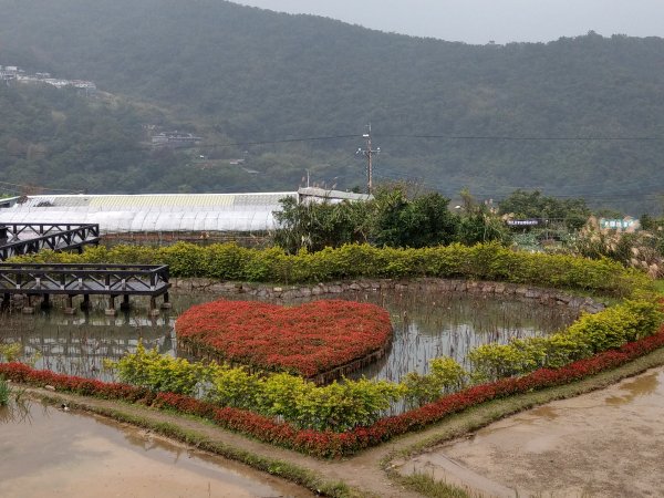 圓覺寺步道1453890