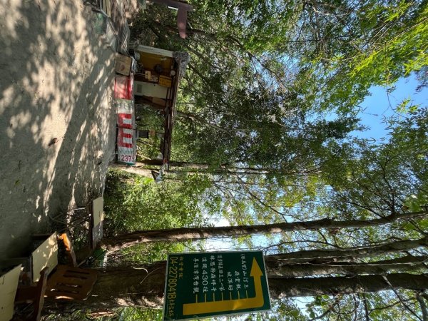 20230503__三汀山+阿罩霧山（台中小百岳）2762361