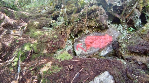 鳶嘴西稜登鳶嘴山2188502